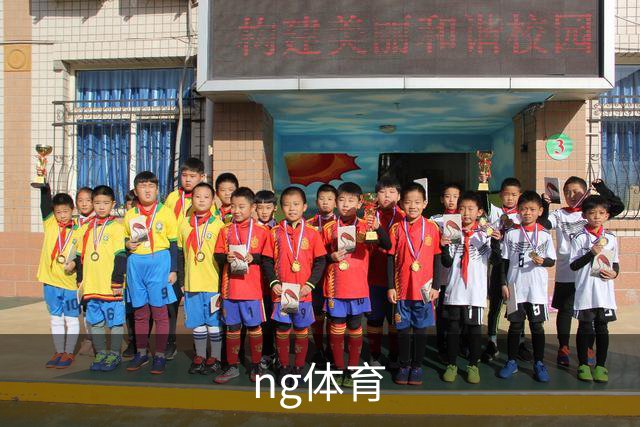 ng体育公司简介